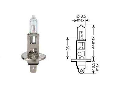  Fahrzeug Glühlampen 12V/24V