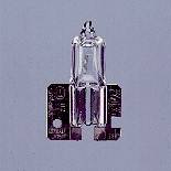 Halogen Bulb (H2)