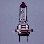 Halogen Bulb (H7)